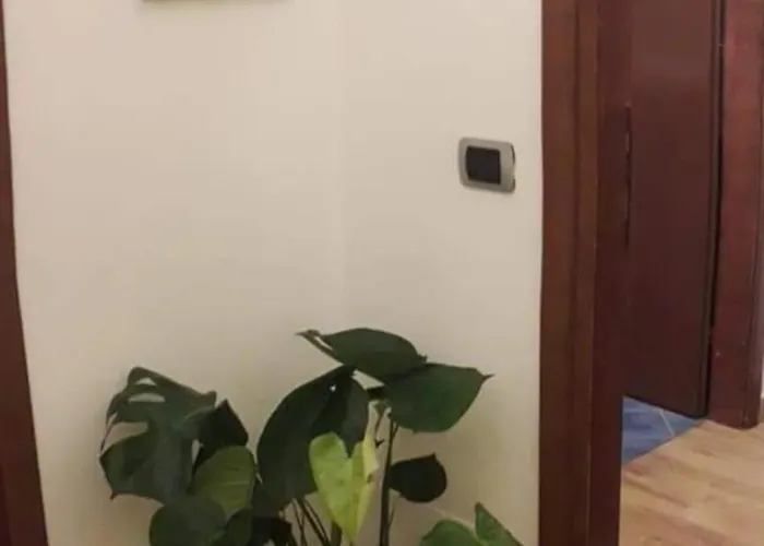 Domobella -- Ripamonti / Ieo / Prada / Bocconi -- * Milán