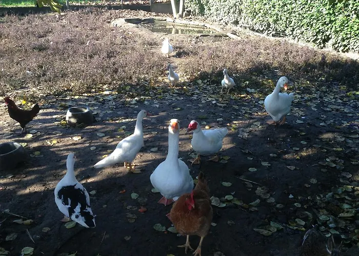 בית חווה Cascina Battivacco מילאנו