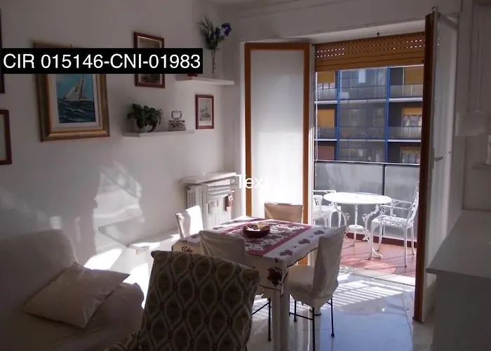 Luminoso Bilocale In Centro