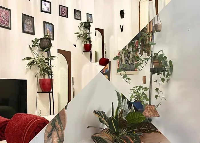 Privat bolig La Stanza Della Giungla *