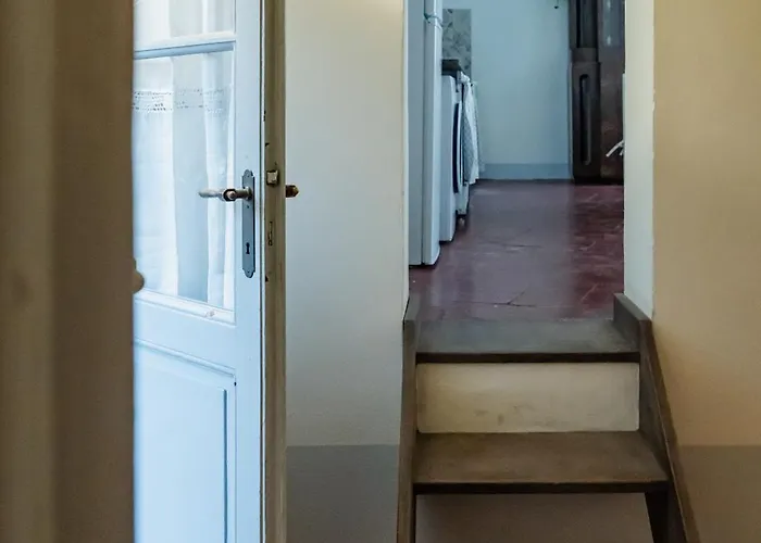 La Corte Di Emily Ap. 1