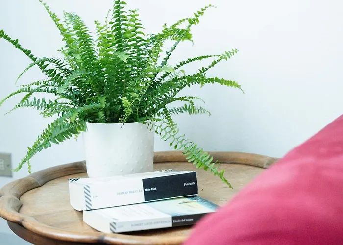 La Corte Di Emily Ap. 1 *