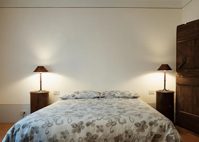 La Corte Di Emily Ap. 1