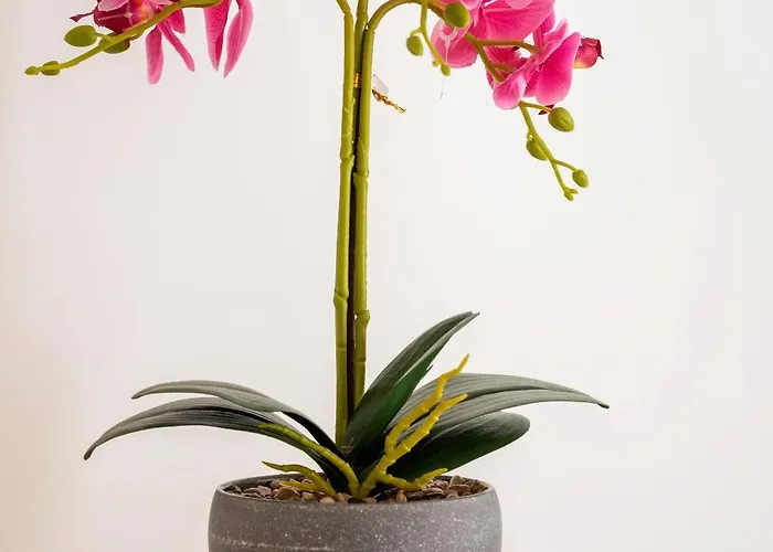 Miniloft Flexyrent - Aircon - Wifi Milano