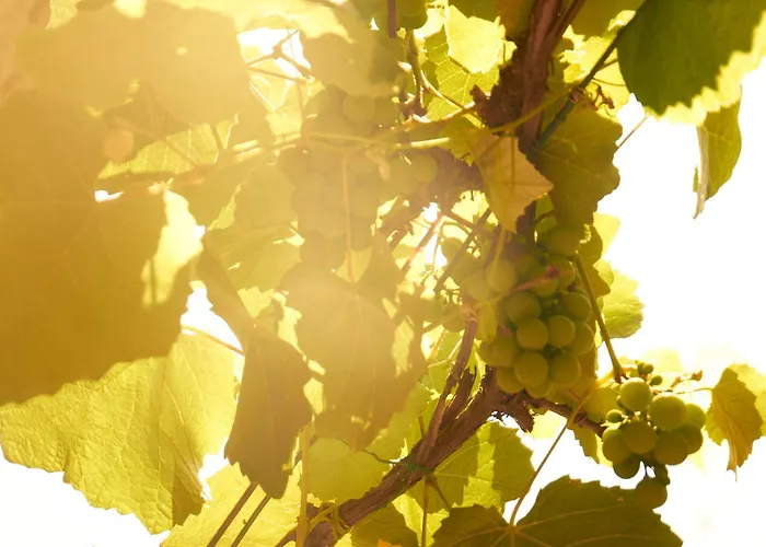 Appartamento Lovelyloft - Alzaia Naviglio Milano