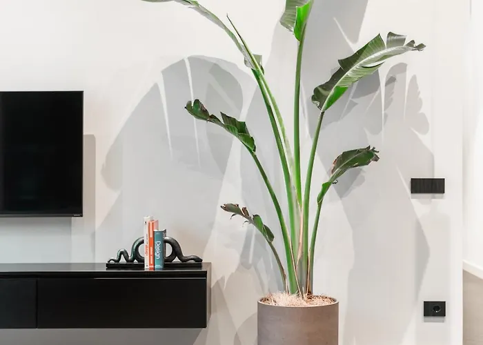 Apartment Minimal Pv *