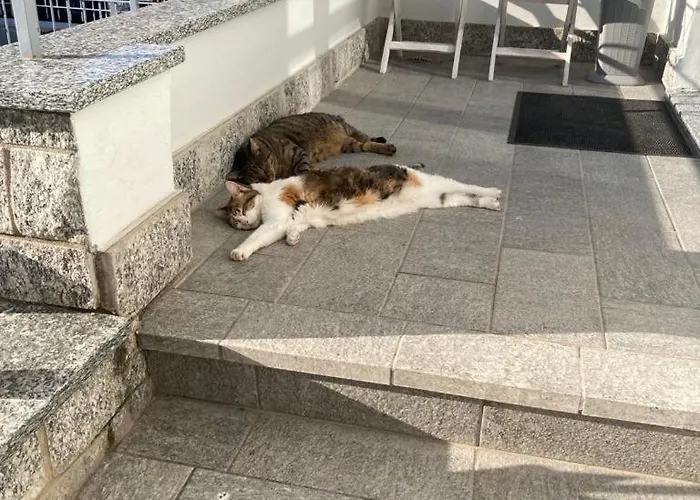 Villino Liber Konukevi 3*