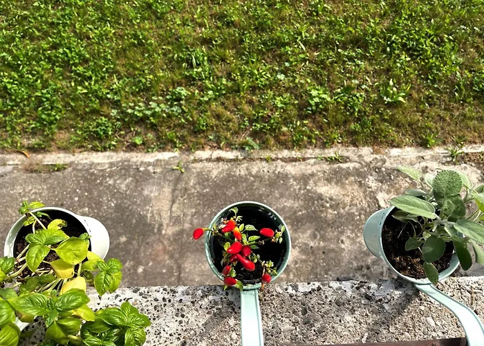 White Flat Puglie Апартаменты *