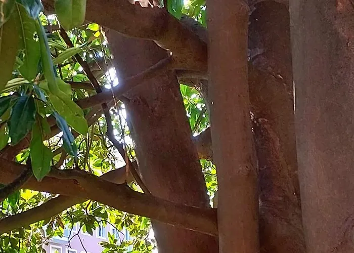 San Siro Arty And Cute - Con Bagno Privato *