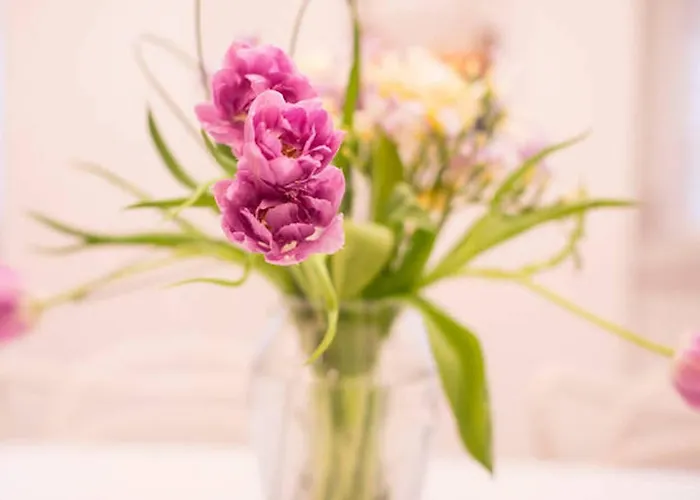 Tortona Citylife Washington M4 *