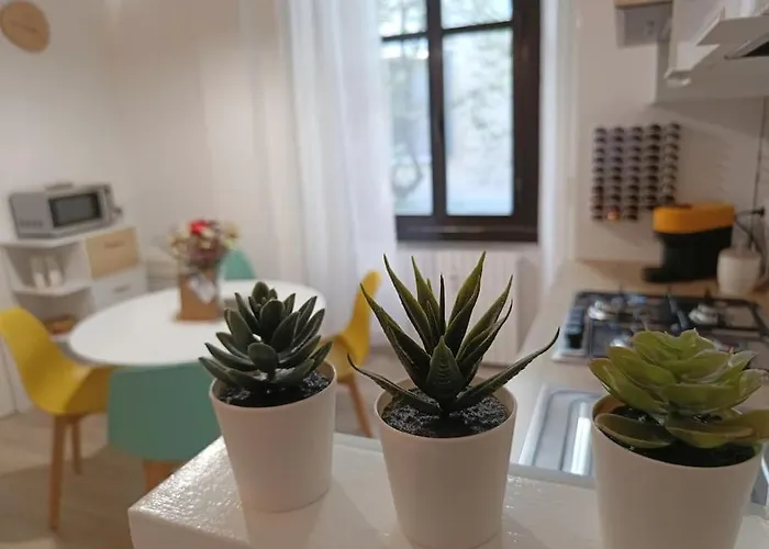 Da Rosa E Pier - Charming