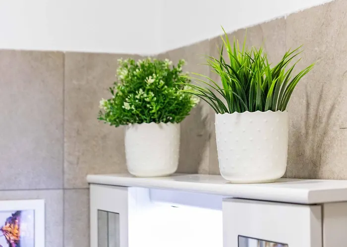 Divi - Strategic Place