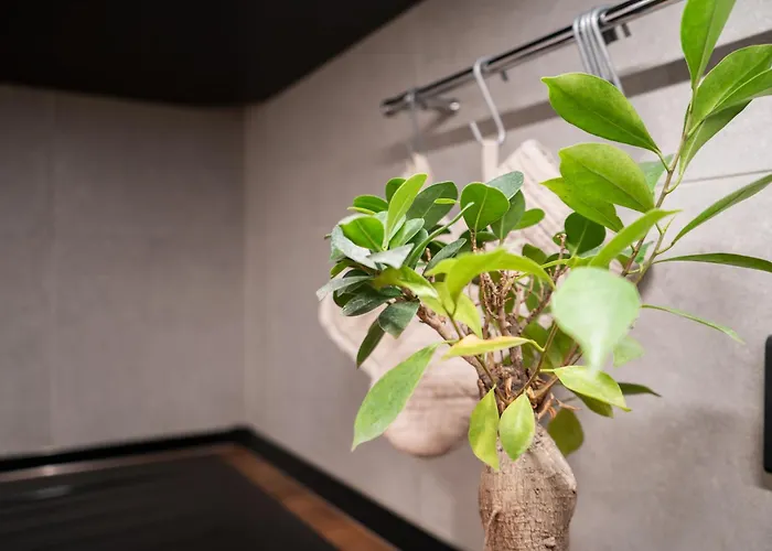 Brera Stylish Apartment, Apartman