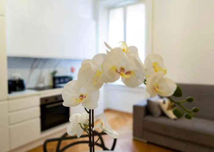 Macchi Delicious By 101flats *