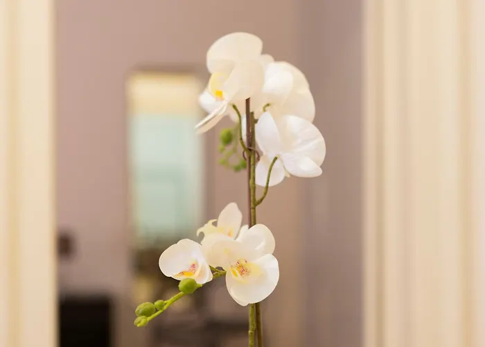 Macchi Delicious By 101flats Daire Milano