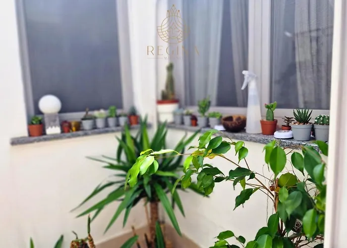 Apartmán Regina In Porta Romana 1 Milán