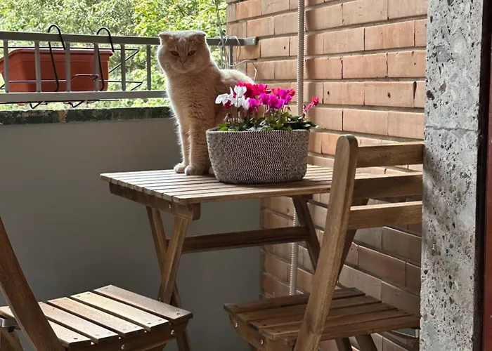 Kittens House Гостевой дом Милан