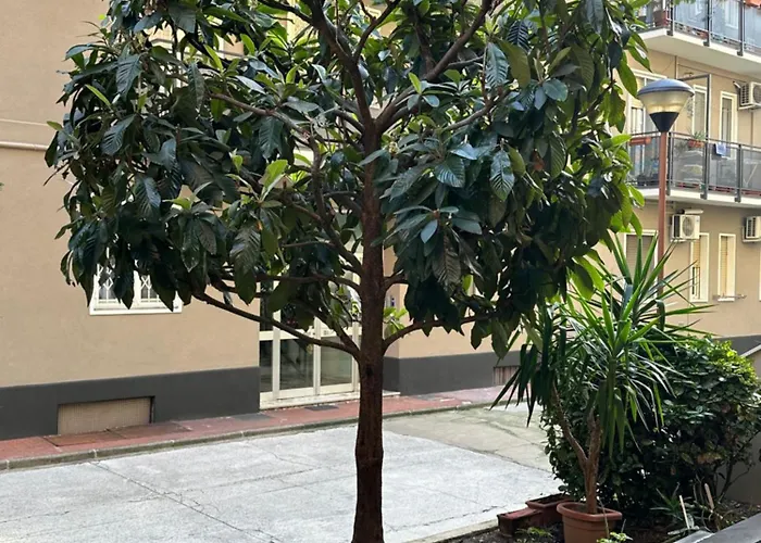 Nolo62, A Nifty Flat In *