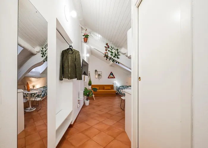 The White Jungle - San Babila Attic