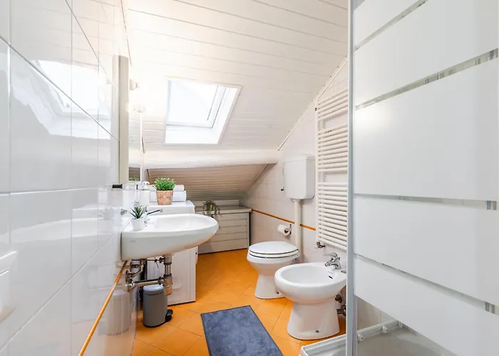 The White Jungle - San Babila Attic *