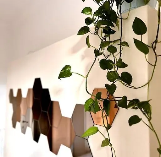 Elegante In Centro Apartment