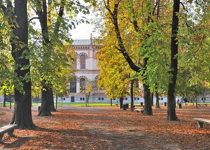 Oasis In The Center Of Daire