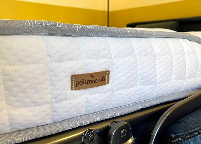 Oasis In The Center Of