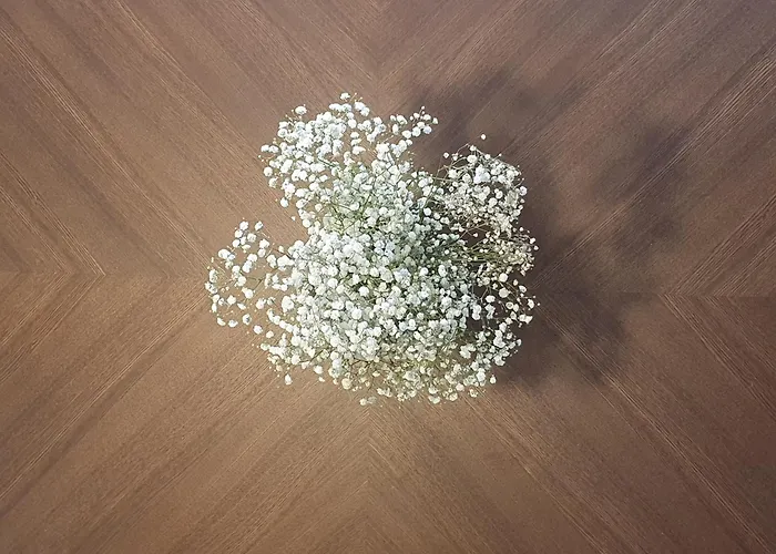 Homemi Solari 米兰