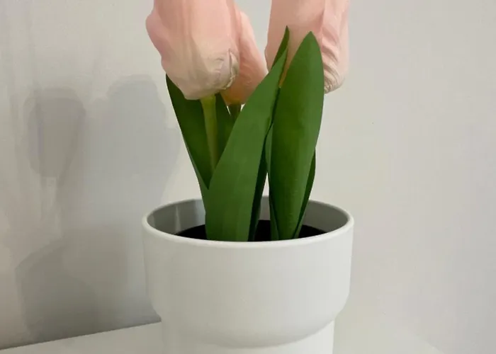 Il Melograno Sul Naviglio Διαμέρισμα