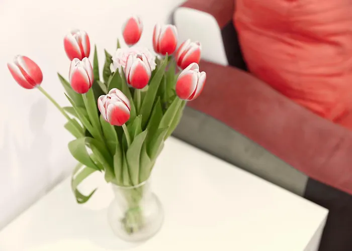 Lägenhet Casa Navigli