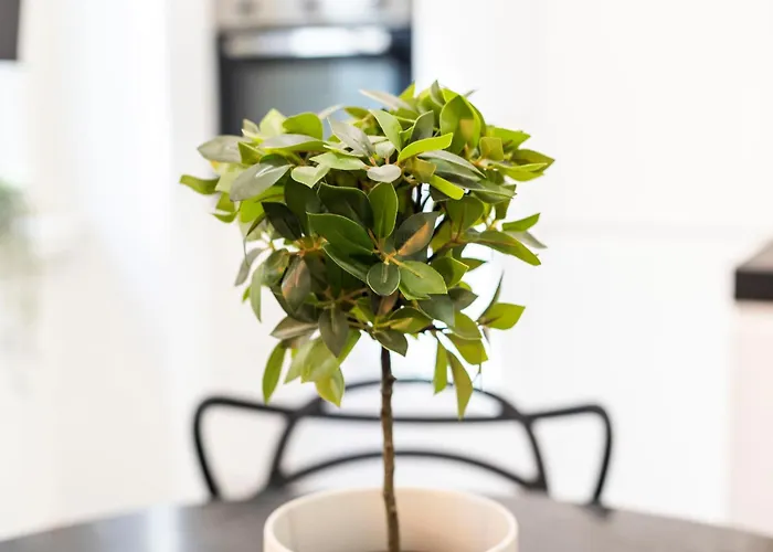 Macchi Charming By 101flats 公寓 米兰