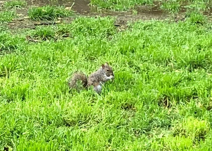 Luminoso Vista San Siro Διαμέρισμα