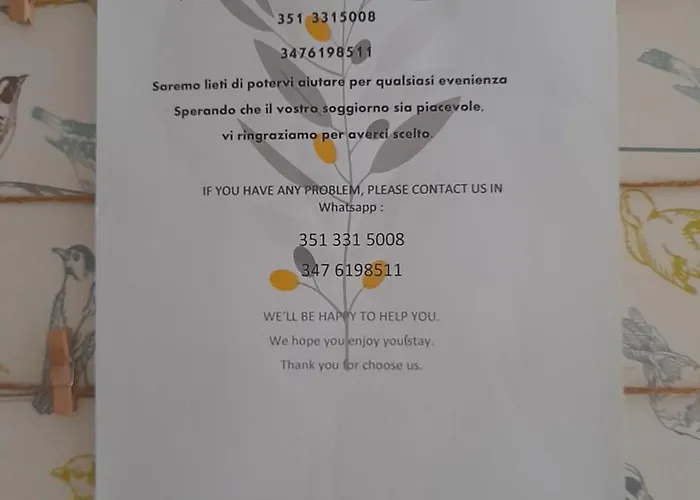 Duomo Bocconi Navigli