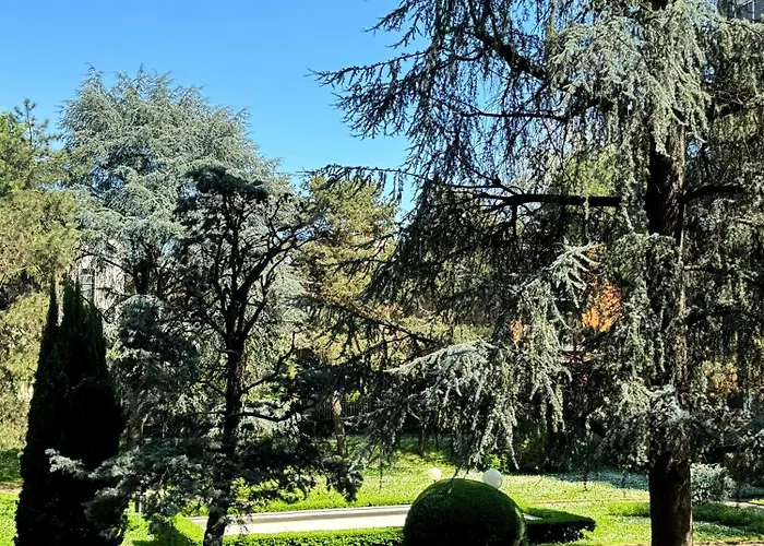 Greenhouse Daire Milano