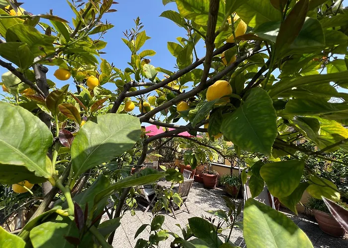 Apartmán Dream Garden Center On Subway 10 Guest Milán