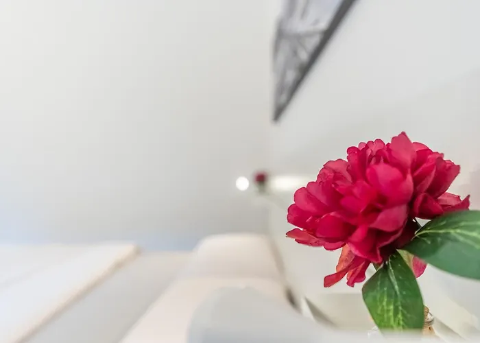 Ap12 Grazioso In Centro