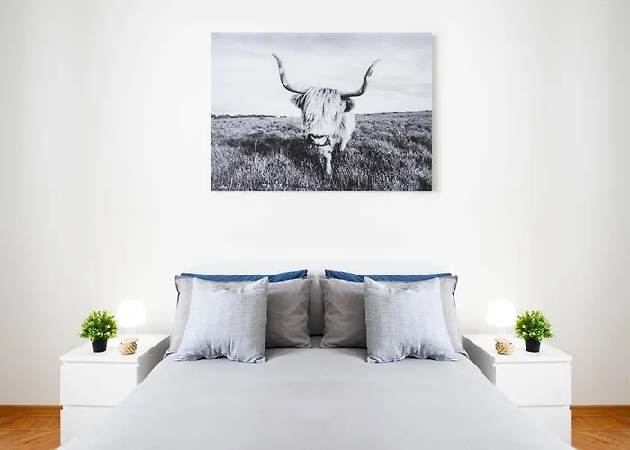 Moderno Multicomfort - Premuda Luxury