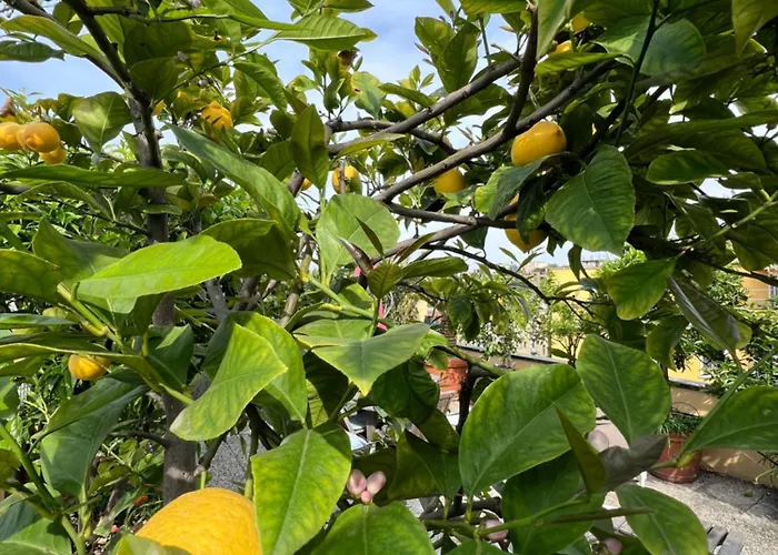 Apartmán Dream Garden Center On Subway 10 Guest *