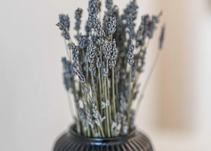 Appartamento Olympias Moscova Milano