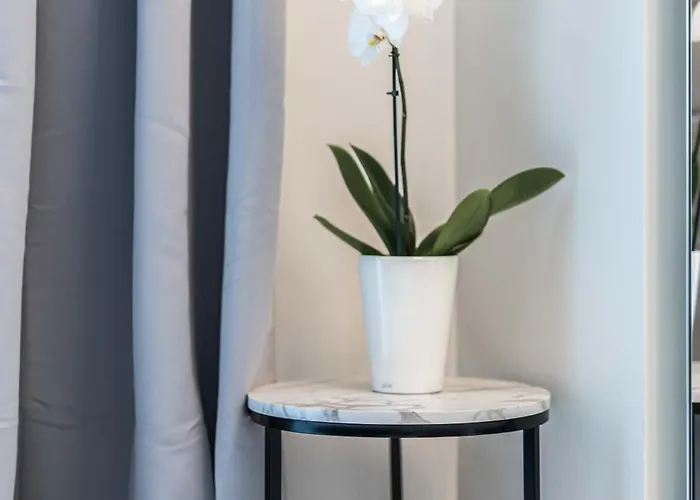 Olympias Moscova Milano