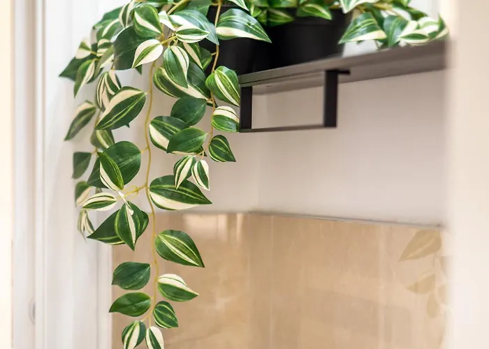 Keys Of Italy - Corsica 5 / Cocoon