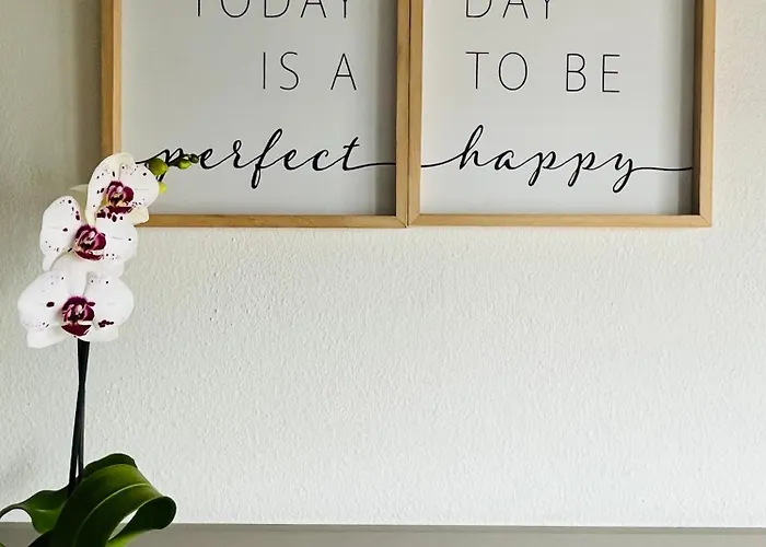 Panda Certosa Milán