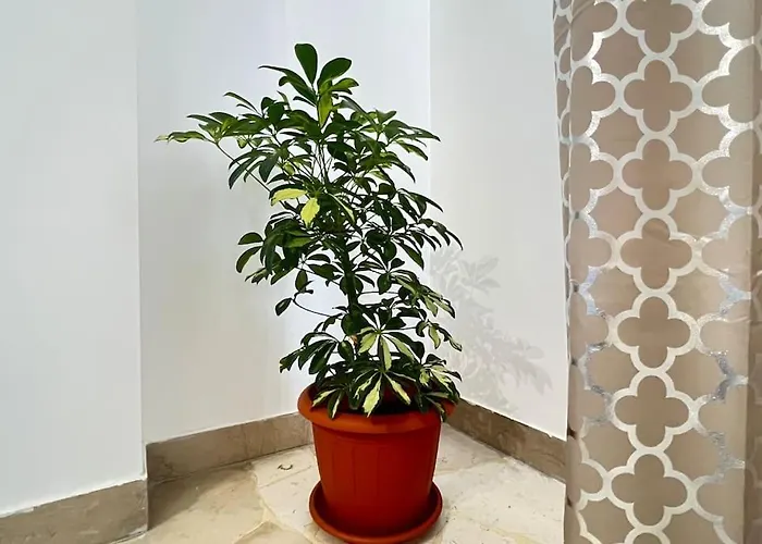 아파트 New And Elegant On The Navigli Netflix E