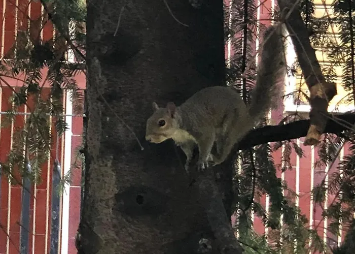 Апартаменты Bwr - In Zona Sempione-tre Torri, Via Alberti Милан