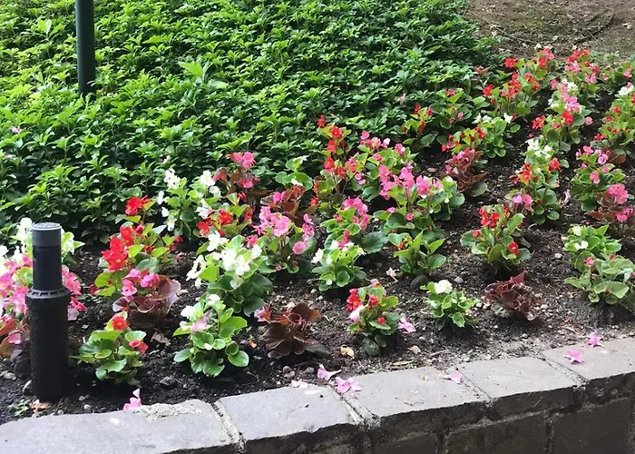 Bwr - In Zona Sempione-tre Torri, Via Alberti * Милан