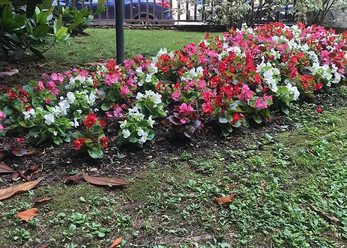 Апартаменты Bwr - In Zona Sempione-tre Torri, Via Alberti Милан