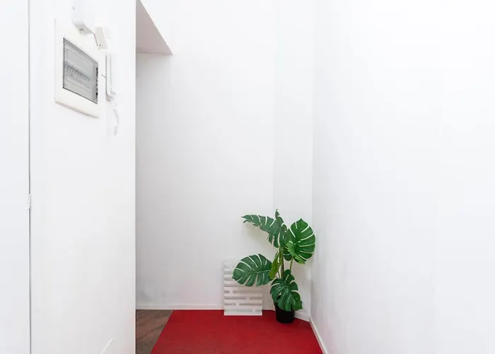 Apartment New! Lovely & Friendly In Center A *