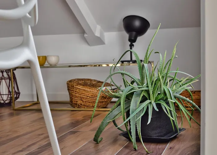 Just Urban - Exclusive Duomo View Penthouse - 5 Min To M4 Dateo