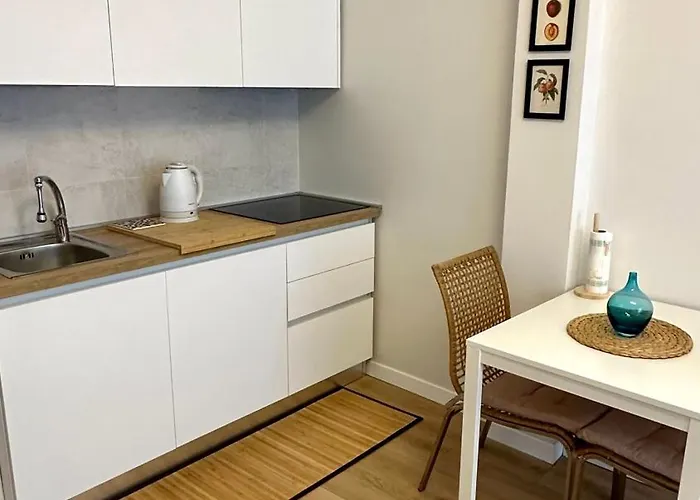 Politecnico Bovisa Appartement *