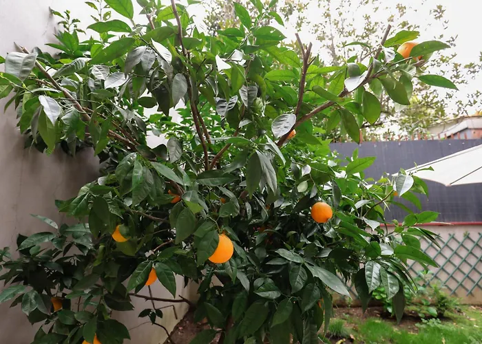 A Vicino Metropolina E Ospedale Niguarda *